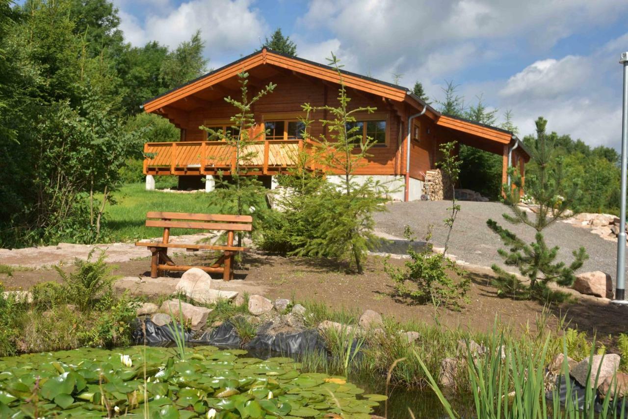 Vila Erzgebirgsholzhaus Am Lugstein Altenberg  Exteriér fotografie