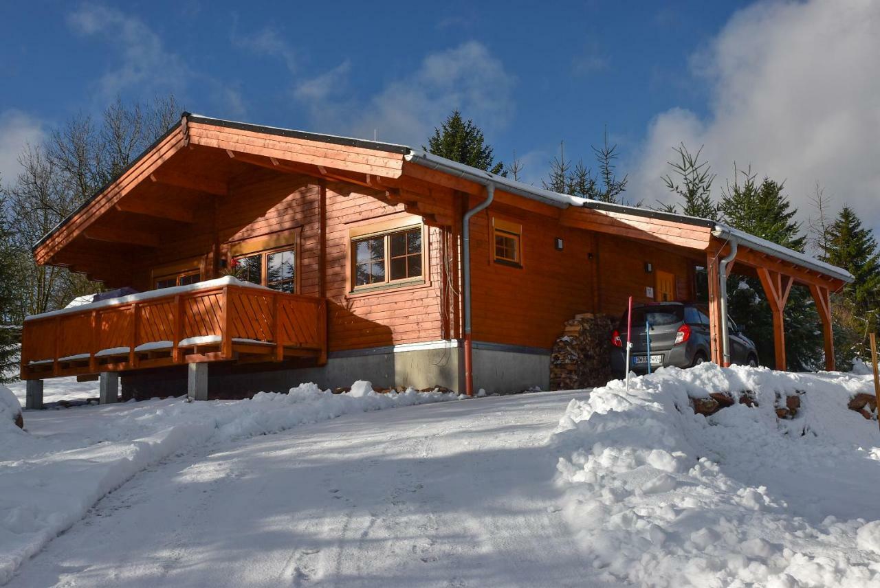 Vila Erzgebirgsholzhaus Am Lugstein Altenberg  Exteriér fotografie